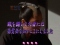 お奉行伝達予告