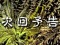 次回予告