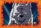 荒野の魔犬リーチ