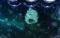 全回転リーチ
