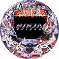 PACHINKO CR NINJA GAIDEN2 1/168タイプ