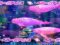 ベルーガチャンス