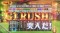 G1 RUSH