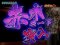 赤木モード