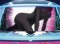 シルエット予告