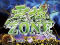 震撼ZONE