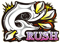 ガオガオRUSH