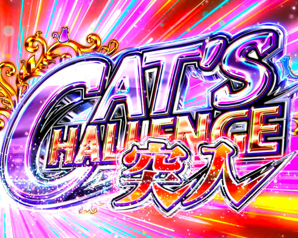 CAT'S CHALLENGE