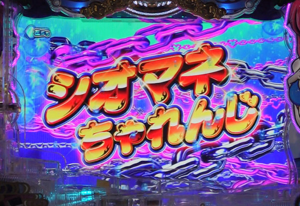 シオマネちゃれんじ