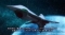 フリーズ演出