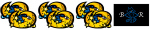 REGULAR BONUS