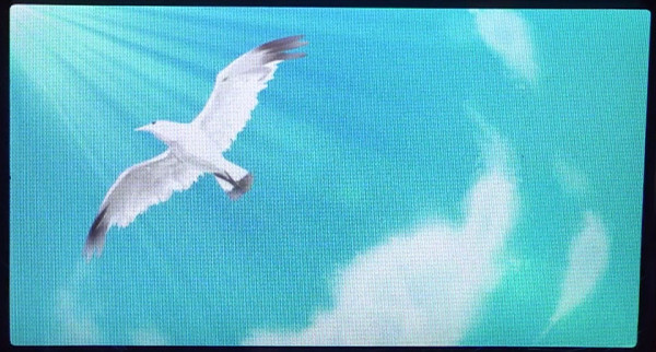 通常時のポイント