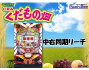 動画キャプチャ