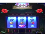 動画キャプチャ