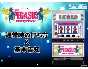 動画キャプチャ