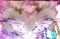 セクシー役物