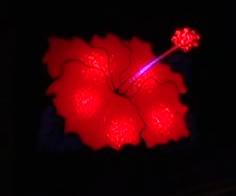 プレミアム点滅