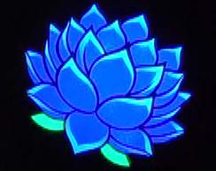 プレミアム点滅