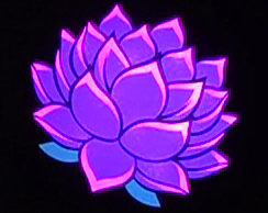 基本告知