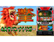 動画キャプチャ