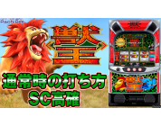動画キャプチャ